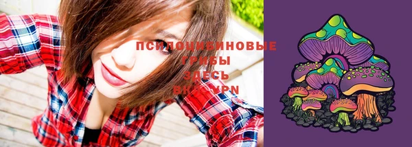 дмт Верхний Тагил
