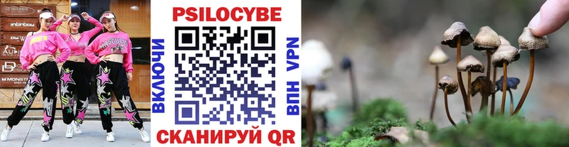 Купить  Бузулук  Галлюциногенные грибы MAGIC MUSHROOMS 